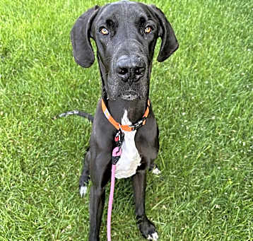 Photo of Walter