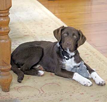 Photo of Gwennie