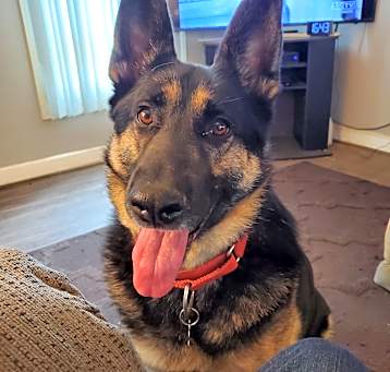 Photo of Otto