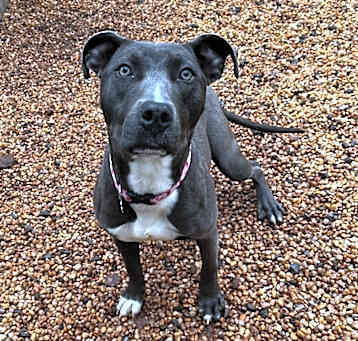 Photo of Lucy