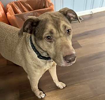 Photo of Zeus