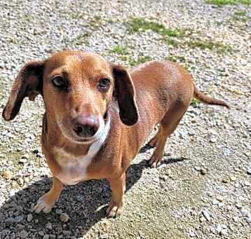 Photo of Bandit 3778