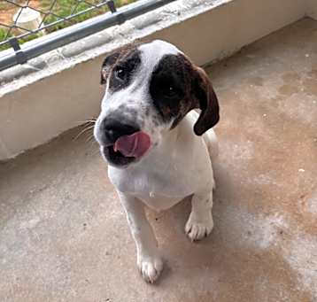 Photo of Charlie 4966