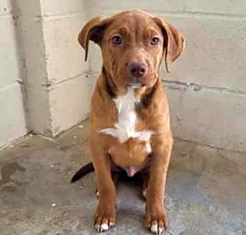 Photo of Toast 1181