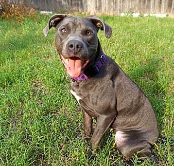 Photo of Pepper AG