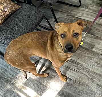 Photo of Honey