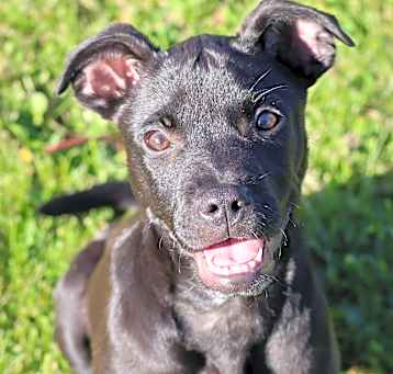 Photo of Jett
