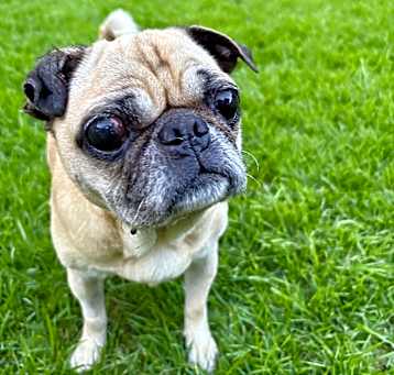 Photo of Peggy