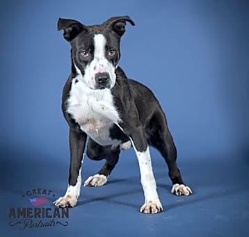 Photo of MAVERICK