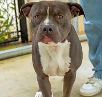 Photo of MAX