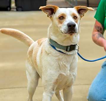 Photo of OPIE