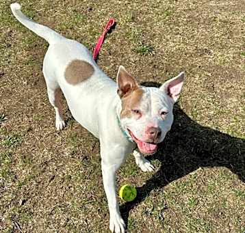 Photo of Nellie
