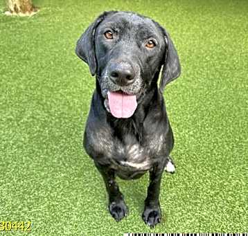 Photo of DELILAH