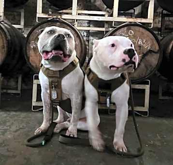 Photo of Whiskey & Tango