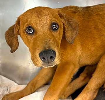 Photo of Axle