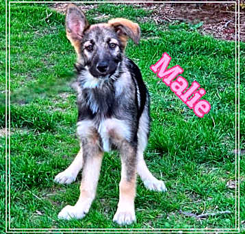 Photo of Malie