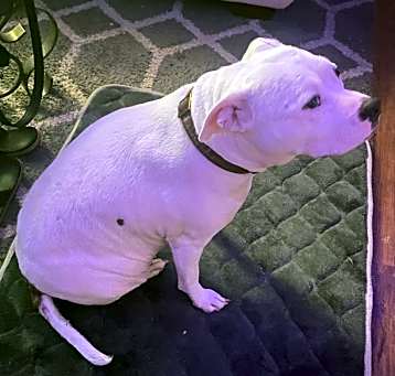 Photo of Princess