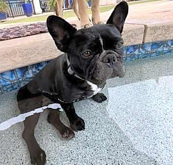 Photo of Lola
