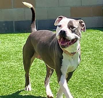 Photo of ROXY
