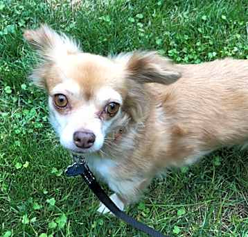 Photo of Abby