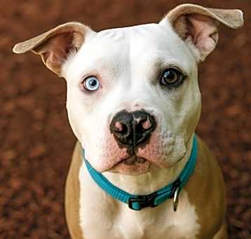 Photo of Diamond