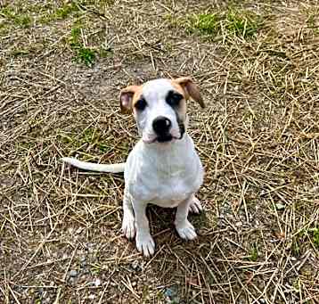 Photo of Thelma
