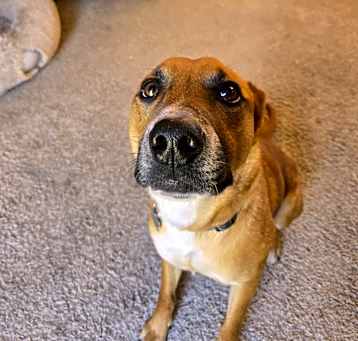 Photo of Duke