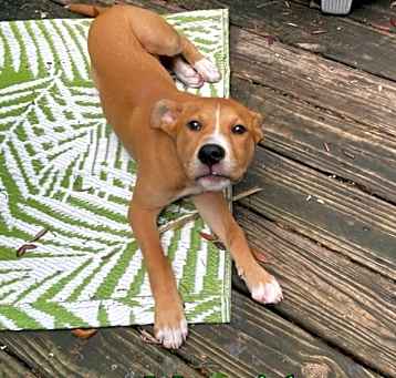 Photo of Maverick