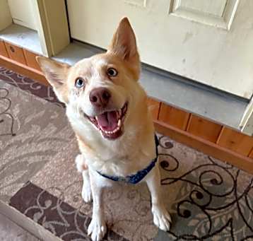 Photo of Nola