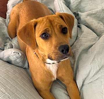 Photo of Hilda