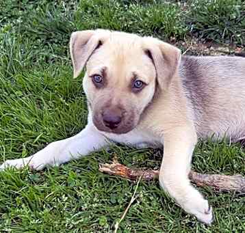 Photo of Murphy