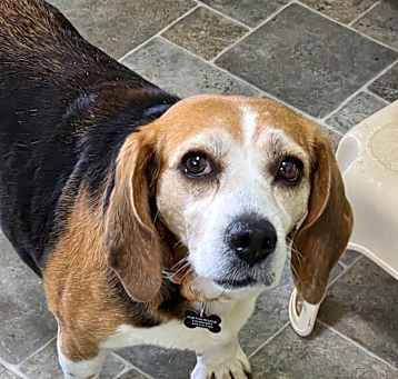 Photo of Sloopy