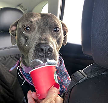 Photo of Luna