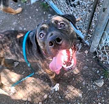 Photo of Coco