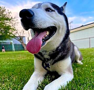 Photo of Finn