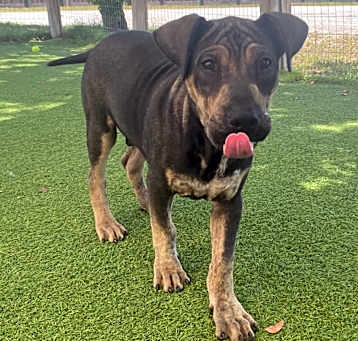 Photo of Tango 5396