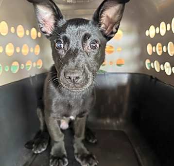 Photo of Esther