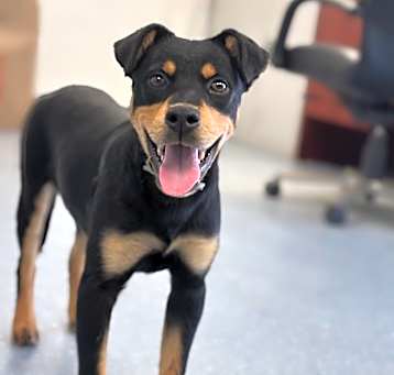 Photo of Sporty