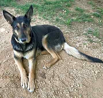 Photo of Soley