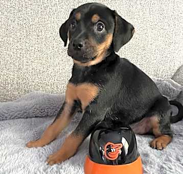 Photo of Gunnar