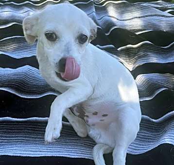 Photo of Hercules