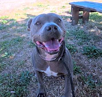 Photo of Caine