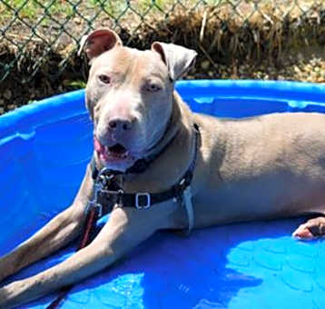 Photo of Blue