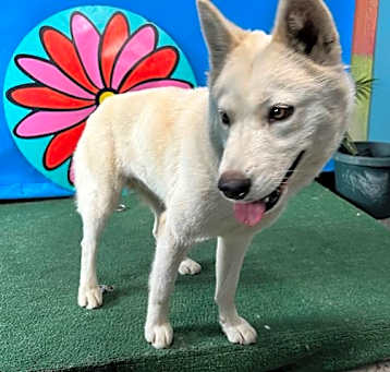 Photo of CODA
