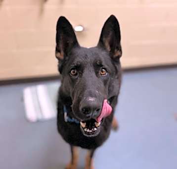Photo of ZEUS