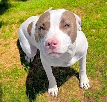 Photo of Lulu