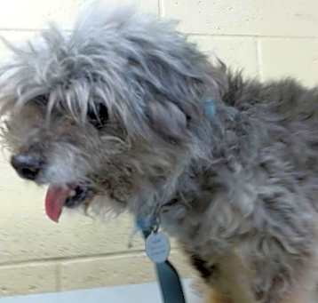 Photo of SCOOBY