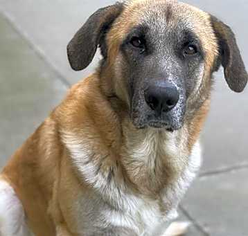 Photo of LUDO