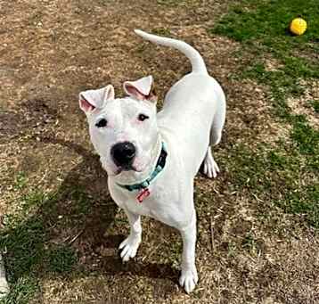 Photo of Kilo