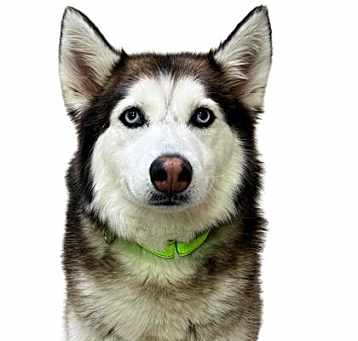Photo of Raya